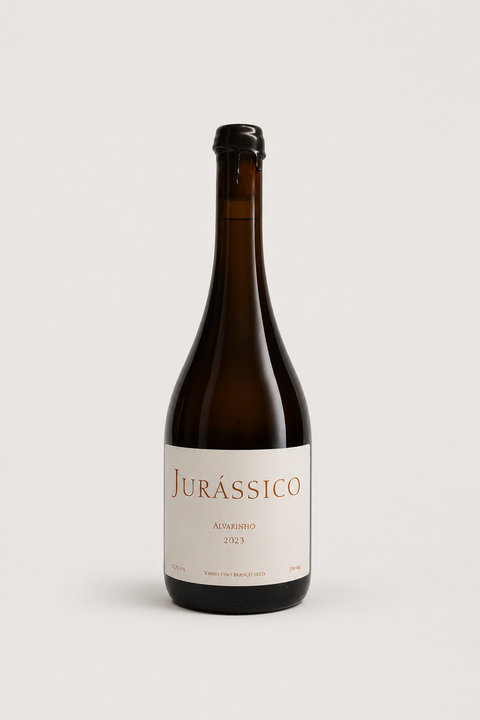 Jurássico 2023 | Alvarinho | Laranja | Casa Possamai